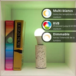 Kozii Commande De L'Éclairage-- Pack de 2 Ampoules LED connectées A60, culot E27, RVB avec télécommande connectée - KPACK2EE806GRVBCCT