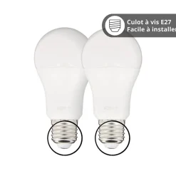 Kozii Commande De L'Éclairage-- Pack de 2 Ampoules LED connectées A60, culot E27, RVB avec télécommande connectée - KPACK2EE806GRVBCCT