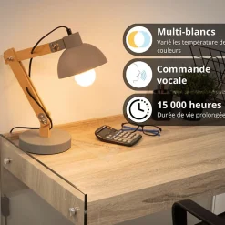 Kozii - Pack de 2 Ampoules LED connectées A60, culot E27, CCT avec prise connectée - KPACK2EE806GCCTPR