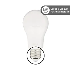 Kozii - Pack de 2 Ampoules LED connectées A60, culot E27, CCT avec prise connectée - KPACK2EE806GCCTPR