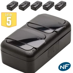 Viko By Panasonic Lot de 5 double prise 2P+T étanche IP54- - Noir - NF
