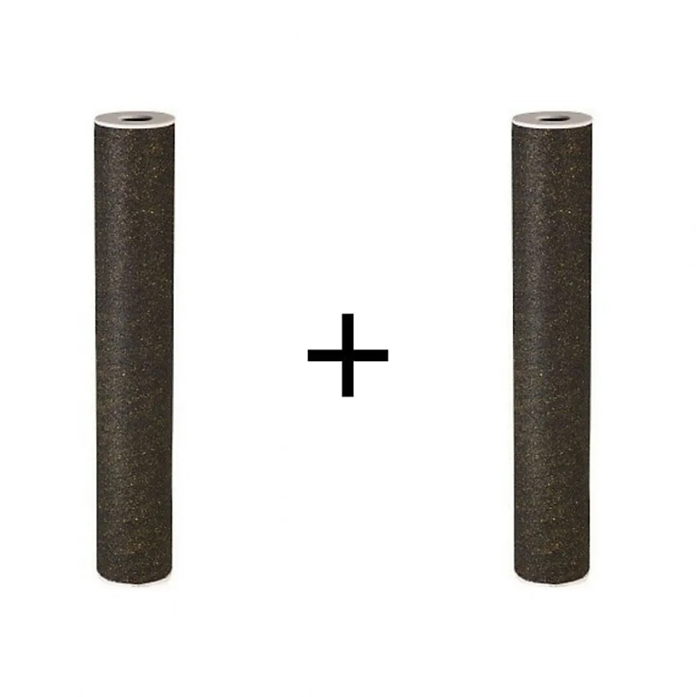 Orion Filtre Anti Calcaire-Lot de 2 filtres pour centrale PROTEO 2
