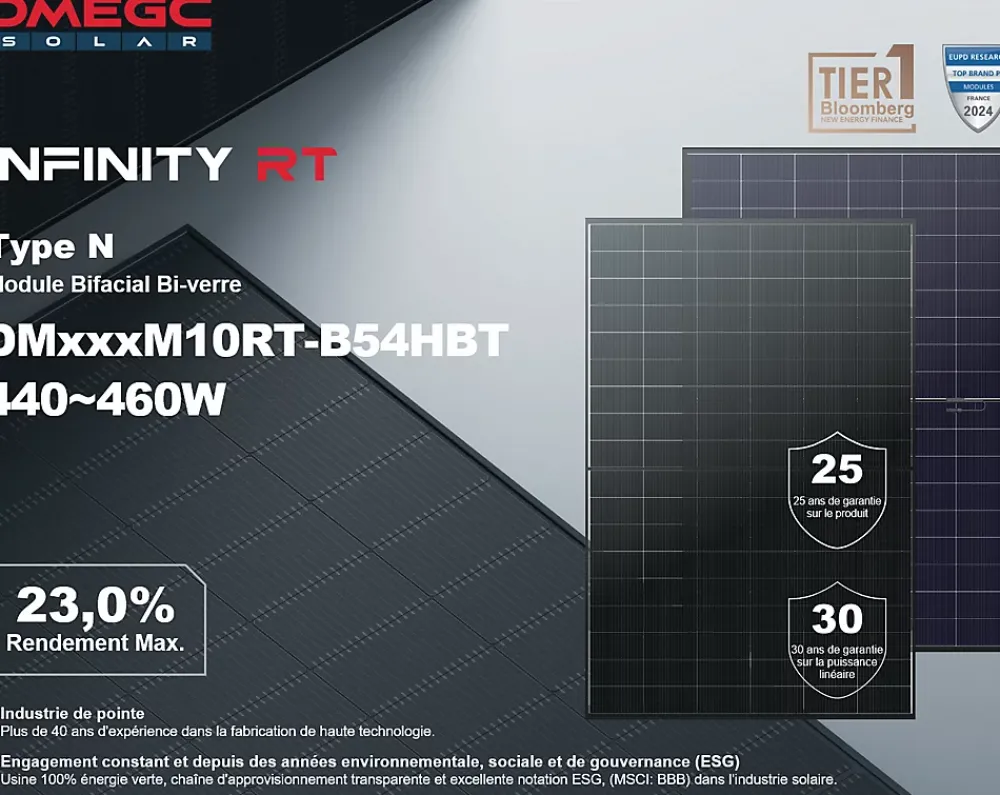 Dmegc Lot de 2 Panneaux solaires 450Wc Bifacial - Bi-verre