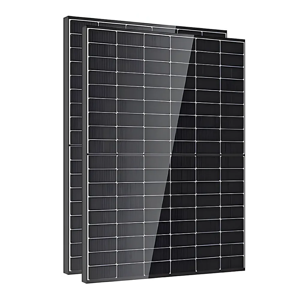 Dmegc Lot de 2 Panneaux solaires 450Wc Bifacial - Bi-verre