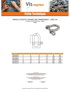 Vis Express Crochet À Visser-Manille Droite Forgée axe imperdable Inox A4 Diamètre 4 - 5 pièces