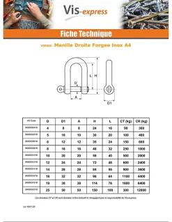 Vis Express Manille Droite Forgée Inox A4 Diamètre 6 - 50 pièces