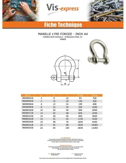 Vis Express Manille LYRE Forgée Inox A4 Diamètre 5 - 1 pièce