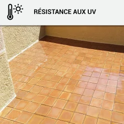 Arcane Industries Mastic Colle MS Polymère, étanchéité des sols et murs : ARCAMASTIC POLYMÈRE Transparent - 290 ml x 1 -