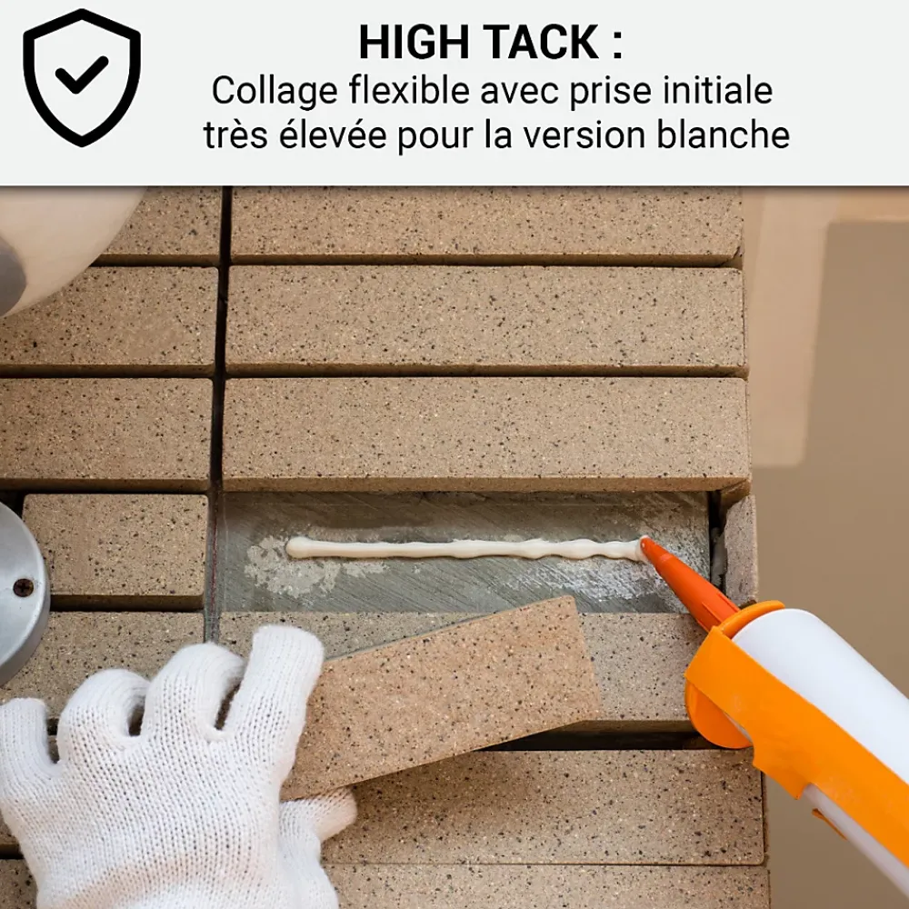 Arcane Industries Mastic Colle MS Polymère, étanchéité des sols et murs : ARCAMASTIC POLYMÈRE Transparent - 290 ml x 1 -