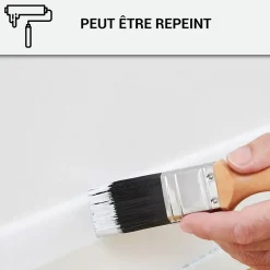 Arcane Industries Mastic Colle MS Polymère, étanchéité des sols et murs : ARCAMASTIC POLYMÈRE Transparent - 290 ml x 1 -