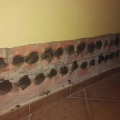 Idroless Etanchéité Du Mur Intérieur-Mortier sec anti-sel (5 kg). Crée une couche isolante sur le mur qui empêche l'apparition de taches de sel causées par l'humidité