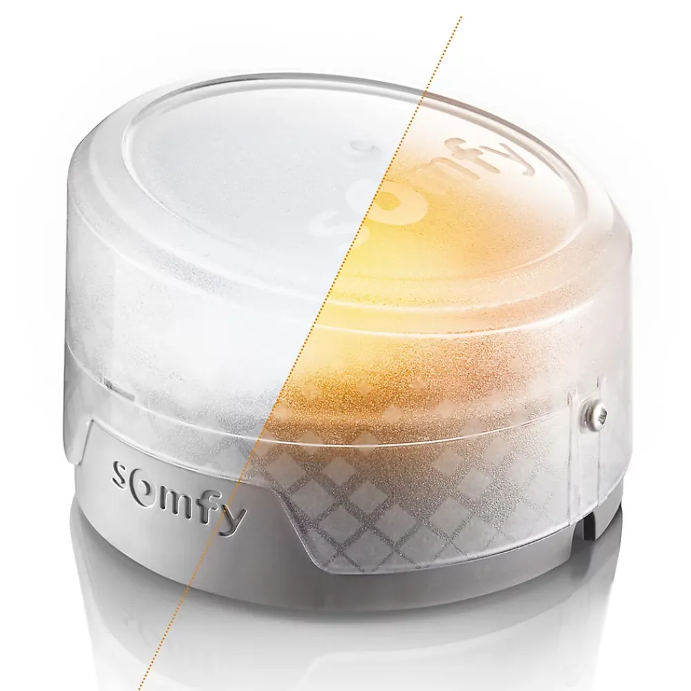 Somfy Motorisation de portail à vérins Exavia Star Connect