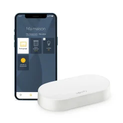 Somfy Motorisation de portail à vérins Exavia Star Connect
