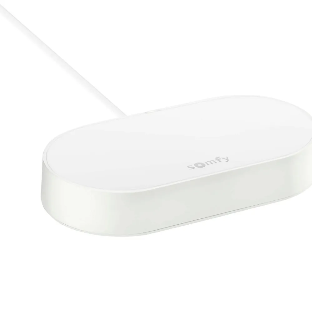 Somfy Motorisation de portail à vérins Exavia Star Connect