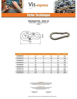 Vis Express Accessoire De Corde, Câble Et Chaîne-Mousqueton Inox A4 Diamètre 4 - 1 pièce