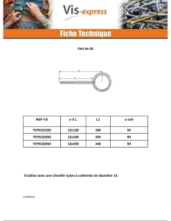 Vis Express Oeillet Echafaudage 12X160 Oeil 50 Acier zingué - 1 pièce