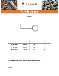 Vis Express Oeillet Echafaudage 12X190 Oeil 23 Acier zingué - 1 pièce