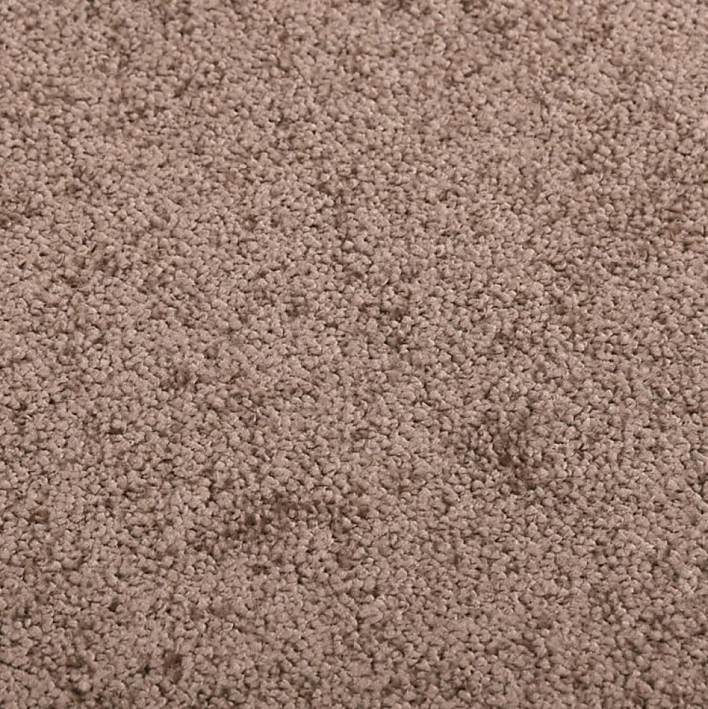 Vidaxl Paillasson Marron 40x60 cm