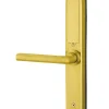Thirard Serrure Et Gâche Électrique-Paire de poignées connectées Intelock Room hôtel, pour porte intérieure, doré - INTELOCK