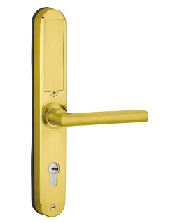 Thirard Paire de poignées connectées Intelock Multi, pour porte d'entrée, entr'axes 85mm, doré - INTELOCK