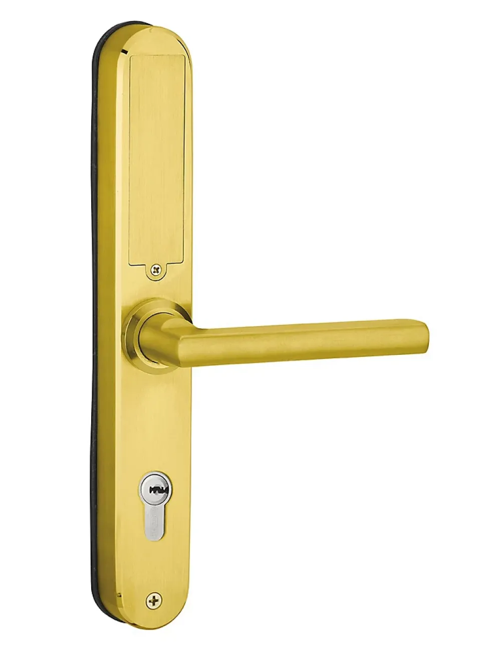 Thirard Paire de poignées connectées Intelock Multi, pour porte d'entrée, entr'axes 85mm, doré - INTELOCK