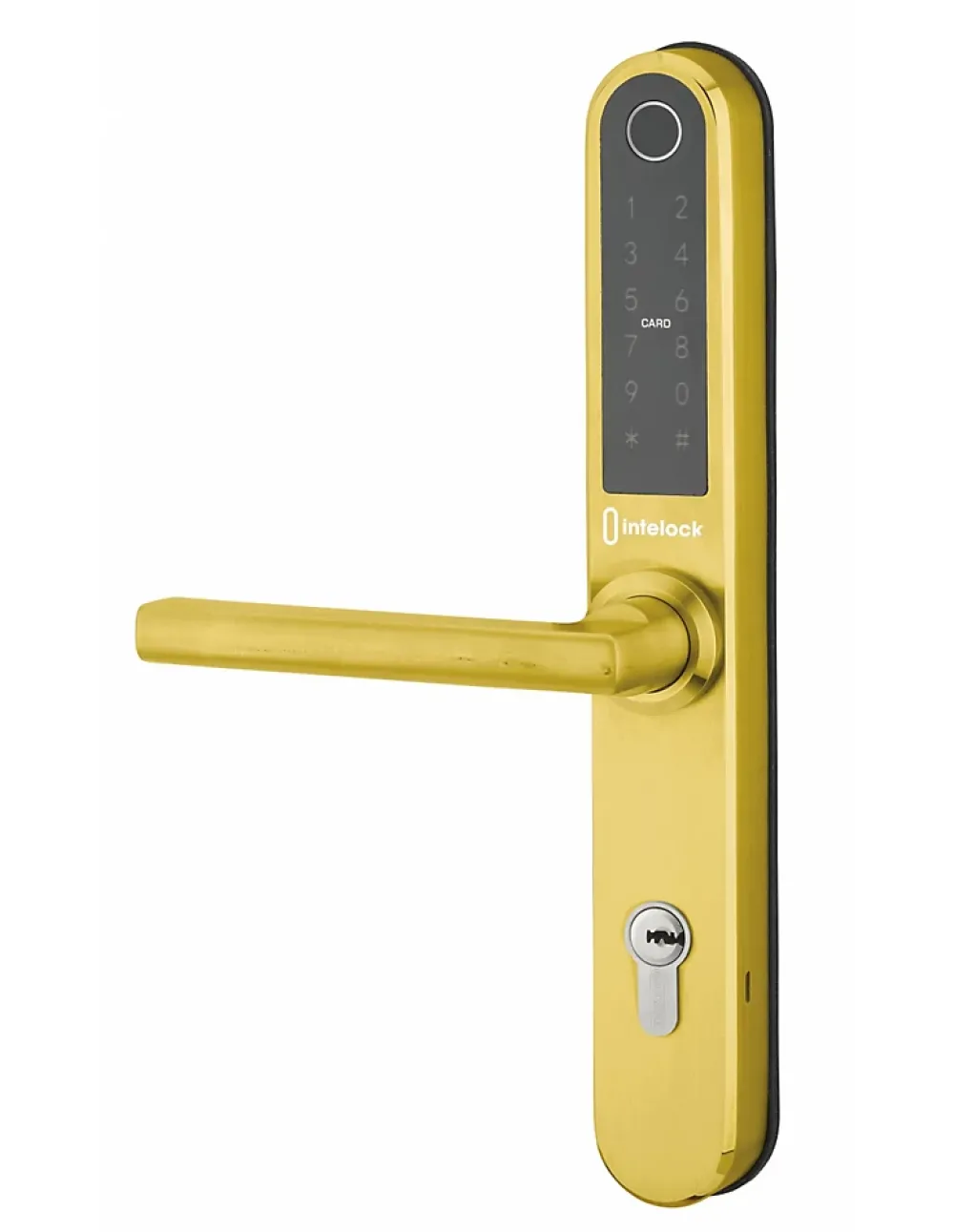 Thirard Paire de poignées connectées Intelock Multi, pour porte d'entrée, entr'axes 85mm, doré - INTELOCK