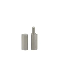 Thirard Paumelle de porte d'entrée / d'intérieur à souder, inox, 13x16x80mm -