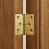QCL Paumelle De Porte, Meuble Et Fenêtre-Paumelle laitonnée 30 x 40 mm gauche vendue par 2