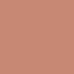 Arcane Industries Etanchéité Du Mur Intérieur-Peinture anti-condensation, anti odeur pour pièces humides Rouge beige - RAL 3012 - 2.5 L -