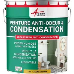 Arcane Industries Peinture anti-condensation, anti odeur pour pièces humides Jaune citron - RAL 1012 - 2.5 L -