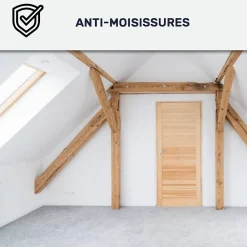 Arcane Industries Etanchéité Du Mur Intérieur-Peinture anti-condensation, anti odeur pour pièces humides Noir foncé RAL 9005 - 10 L -