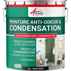 Arcane Industries Etanchéité Du Mur Intérieur-Peinture anti-condensation, anti odeur pour pièces humides Noir foncé RAL 9005 - 10 L -
