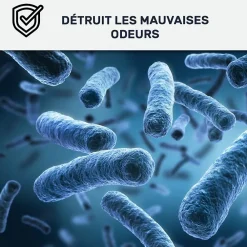 Arcane Industries Etanchéité Du Mur Intérieur-Peinture anti-condensation, anti odeur pour pièces humides Noir foncé RAL 9005 - 10 L -