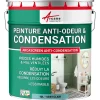 Arcane Industries Peinture anti-condensation, anti odeur pour pièces humides Vert clair - RAL 6027 - 10 L -