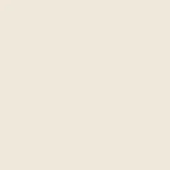 Arcane Industries Etanchéité Du Mur Intérieur-Peinture anti-condensation, anti odeur pour pièces humides : ARCASCREEN ANTI CONDENSATION Blanc Crème - 10 L -