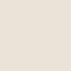 Arcane Industries Etanchéité Du Mur Intérieur-Peinture anti-condensation, anti odeur pour pièces humides Blanc Perlé - RAL 1013 - 2.5 L -