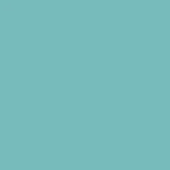 Arcane Industries Peinture anti-condensation, anti odeur pour pièces humides Vert clair - RAL 6027 - 2.5 L -