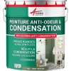 Arcane Industries Peinture anti-condensation, anti odeur pour pièces humides Vert Réséda - RAL 6011 - 10 L -