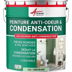 Arcane Industries Peinture anti-condensation, anti odeur pour pièces humides Vert Blanc - RAL 6019 - 2.5 L -