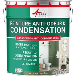 Arcane Industries Peinture anti-condensation, anti odeur pour pièces humides Vert Réséda - RAL 6011 - 2.5 L -