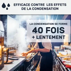Arcane Industries Etanchéité Du Mur Intérieur-Peinture anti-condensation, anti odeur pour pièces humides Vert jonc - RAL 6013 - 2.5 L -
