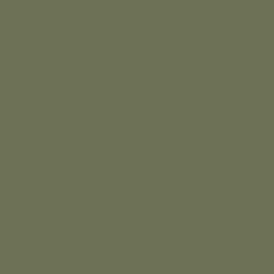 Arcane Industries Etanchéité Du Mur Intérieur-Peinture anti-condensation, anti odeur pour pièces humides Vert jonc - RAL 6013 - 2.5 L -