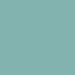 Arcane Industries Peinture anti-condensation, anti odeur pour pièces humides Turquoise Pastel - RAL 6034 - 10 L -