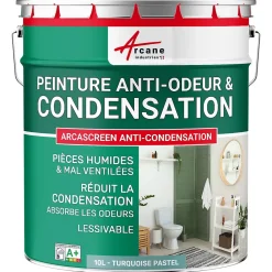 Arcane Industries Peinture anti-condensation, anti odeur pour pièces humides Turquoise Pastel - RAL 6034 - 10 L -