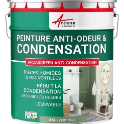 Arcane Industries Etanchéité Du Mur Intérieur-Peinture anti-condensation, anti odeur pour pièces humides Vert Pâle - RAL 6021 - 2.5 L -