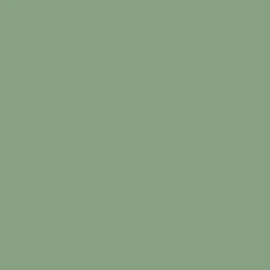 Arcane Industries Etanchéité Du Mur Intérieur-Peinture anti-condensation, anti odeur pour pièces humides Vert Pâle - RAL 6021 - 2.5 L -