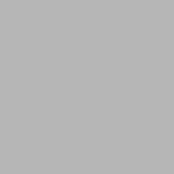 Ripolin Peinture anti-humidité intérieur satin gris lome L