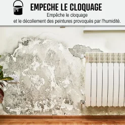 Arcane Industries Peinture anti humidité mur humide salle de bain - ARCASCREEN - 10 L (jusqu'à 40 m²) -