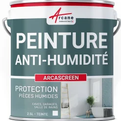 Arcane Industries Etanchéité Du Mur Intérieur-Peinture anti humidité mur humide salle de bain - ARCASCREEN - 2.5 L (jusqu'à 10 m²) -