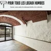 Arcane Industries Etanchéité Du Mur Intérieur-Peinture anti humidité mur humide salle de bain - ARCASCREEN - 0.75 L (jusqu'à 3 m²) -